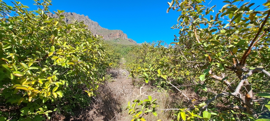 1 Bedroom Property for Sale in Paarl Rural Western Cape